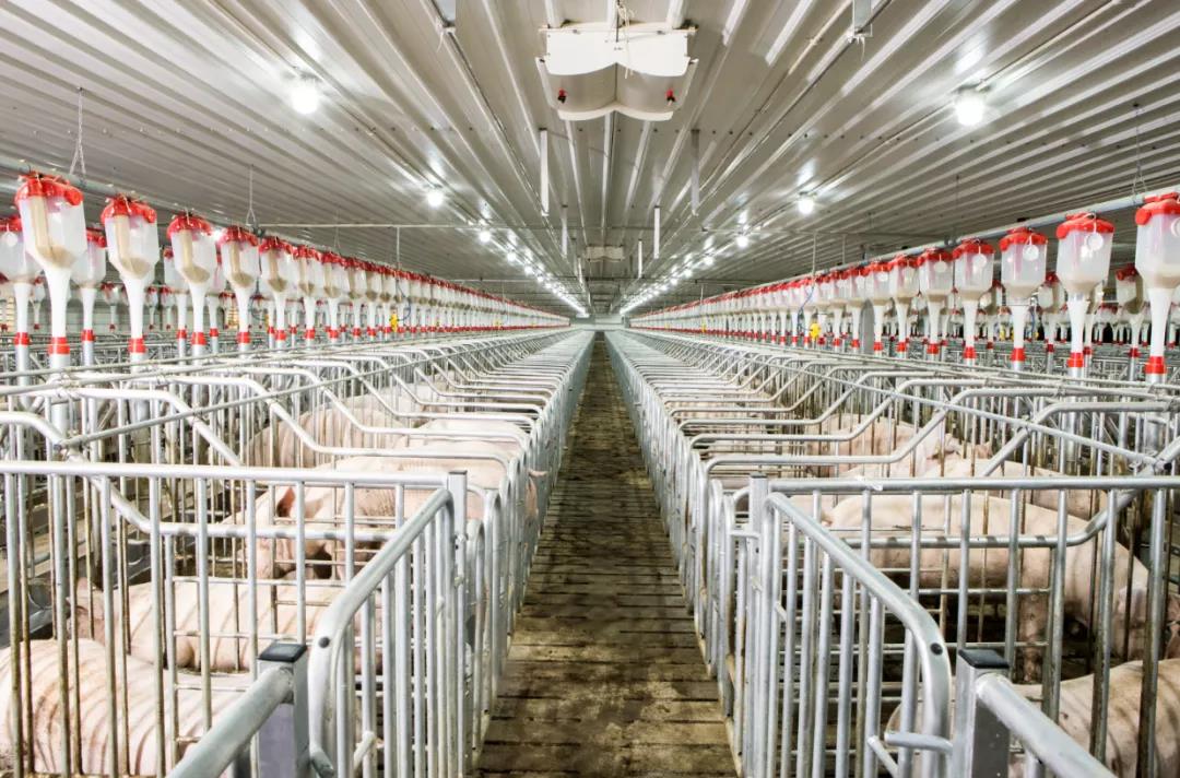 德赢·(VWIN)官方网站-AC米兰官方合作伙伴