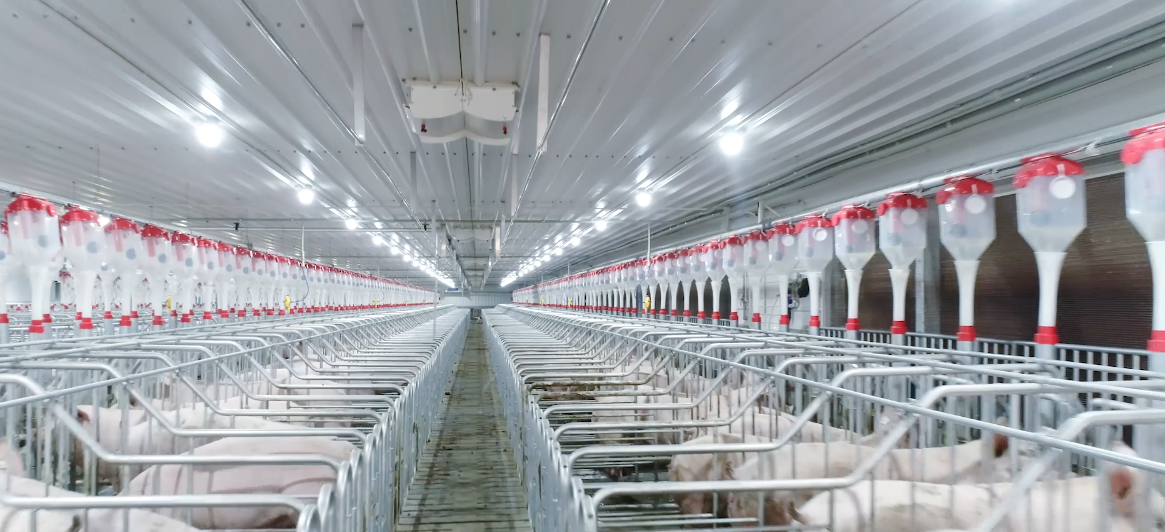 µÂÓ®¡¤(VWIN)¹Ù·½ÍøÕ¾-ACÃ×À¼¹Ù·½ºÏ×÷»ï°é