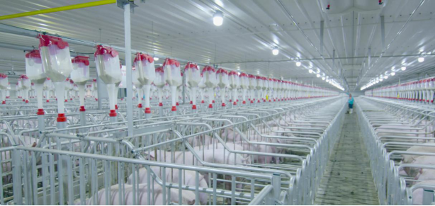 德赢·(VWIN)官方网站-AC米兰官方合作伙伴