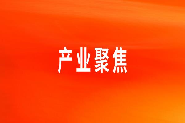 ������Ӧ��ר�����񡪡������ͻ�����ġ�vwin��Ӯ��ҳ����ʳ���塱