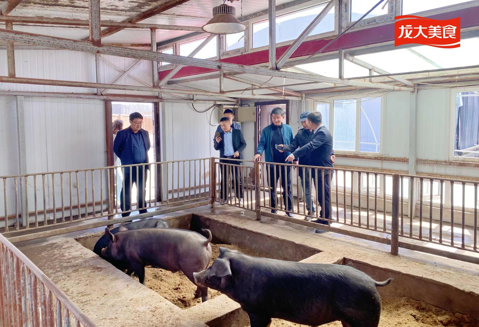 微信图片_20240419102458.jpg 微信图片_20240419102458.jpg