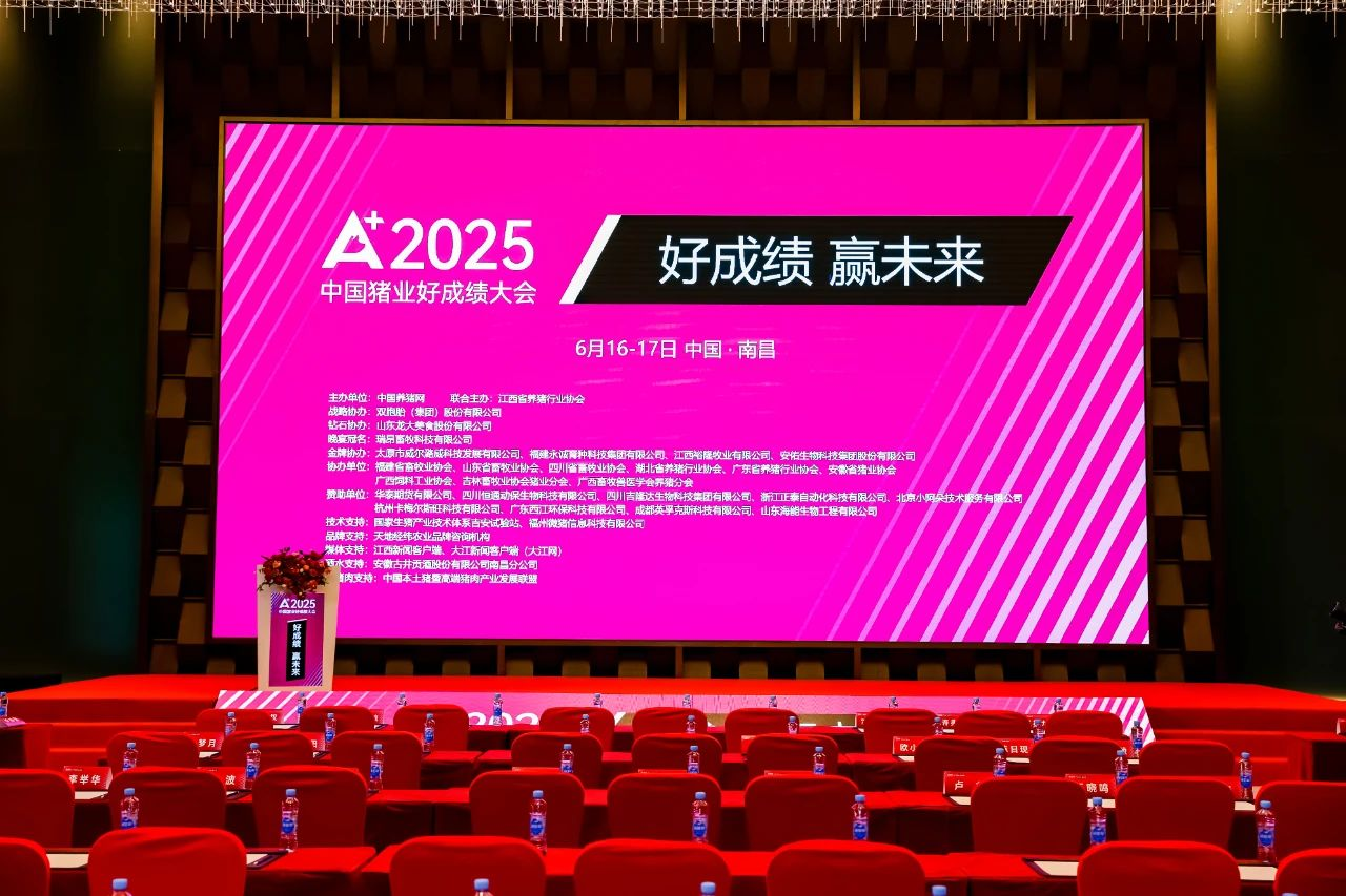 ˫ᣡvwinӮҳʳֳ˾նЧ 롰˽